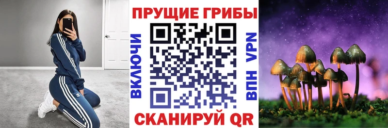 Галлюциногенные грибы GOLDEN TEACHER  Купить закладки  Ливны 